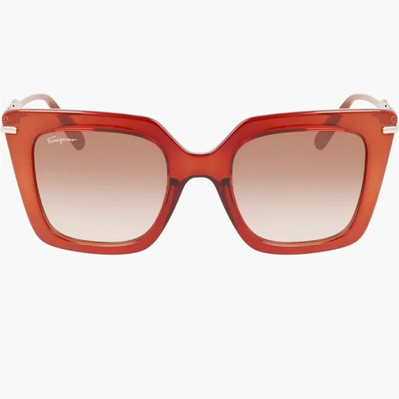 NWT Salvatore Ferragamo Brown Sunglasses - Picture 7 of 7